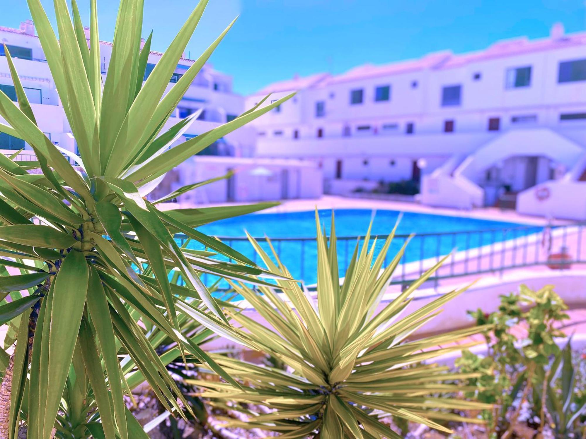 Tropicalidays Sunset Palm Apartment Costa Del Silencio Ngoại thất bức ảnh